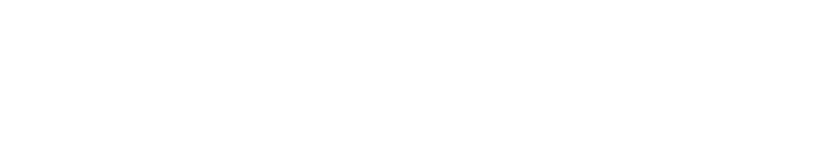 Bulkstream logo
